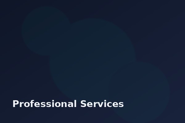Professional Services IT
